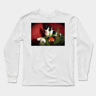 Cat Lilli likes Christmas Long Sleeve T-Shirt